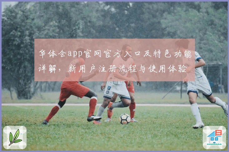 华体会app官网官方入口及特色功能详解，新用户注册流程与使用体验全面评测